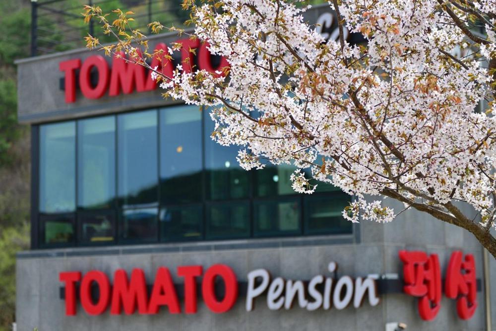 Hwacheon Tomato Pension ภายนอก รูปภาพ